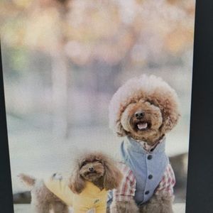 Meet your Posher, Simone